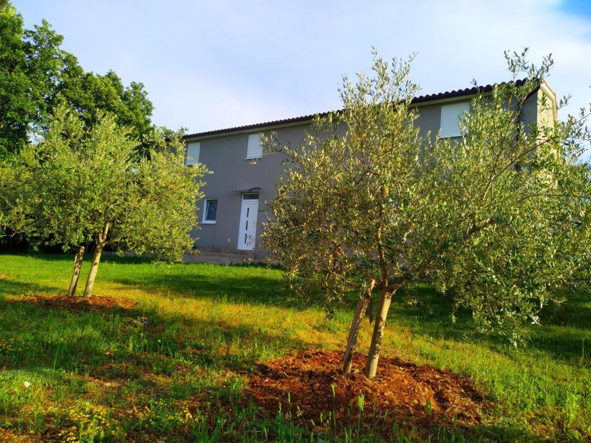 Apartment Valeria Divsici
